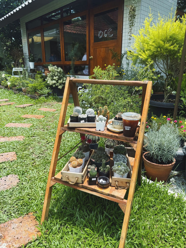 คาเฟ่เปิดใหม่สไตล์โฮมมี่ย่านศรีราชา