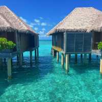 🇲🇻Maldives-Where dream becomes reality 