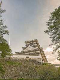 Kochi Castle Is a Hidden Treasure