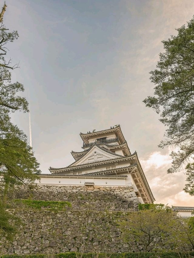 Kochi Castle Is a Hidden Treasure