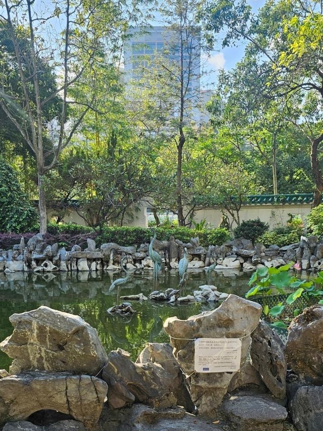 具備中國風、古色古香嘅荔枝角公園