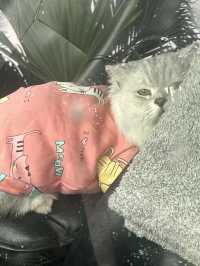โฮมสเตย์จันทบุรี กินปู ดูเหยี่ยว Pet Friendly!