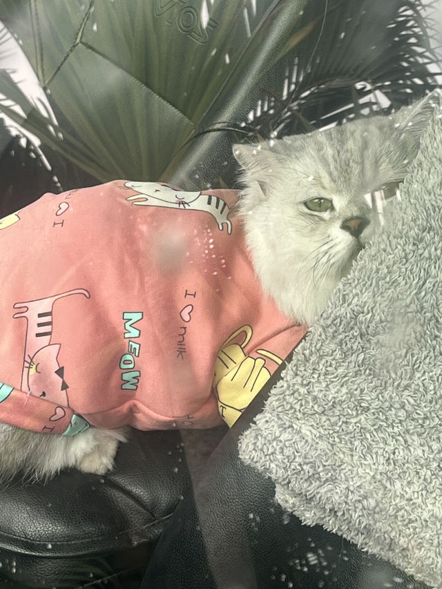 โฮมสเตย์จันทบุรี กินปู ดูเหยี่ยว Pet Friendly!