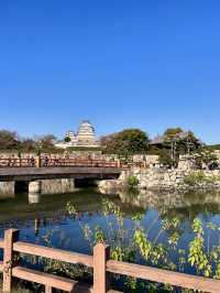 Himeji Castle by Day & Night – Grand, Glowing & Unforgettable