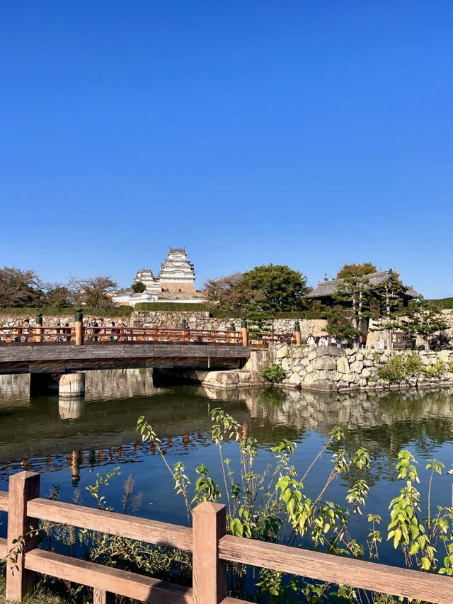 Himeji Castle by Day & Night – Grand, Glowing & Unforgettable
