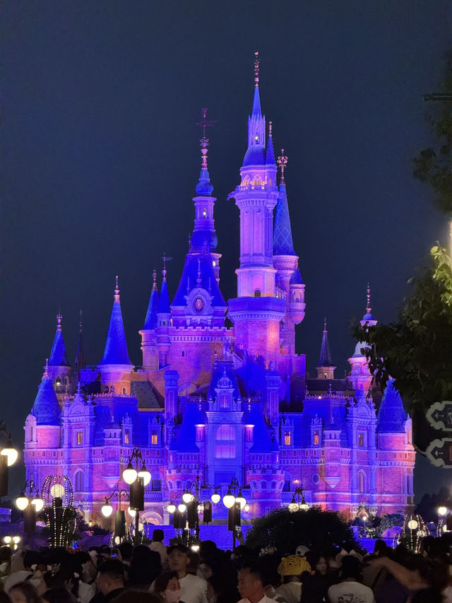 From Zen to Zoom: Epic Days in Shanghai