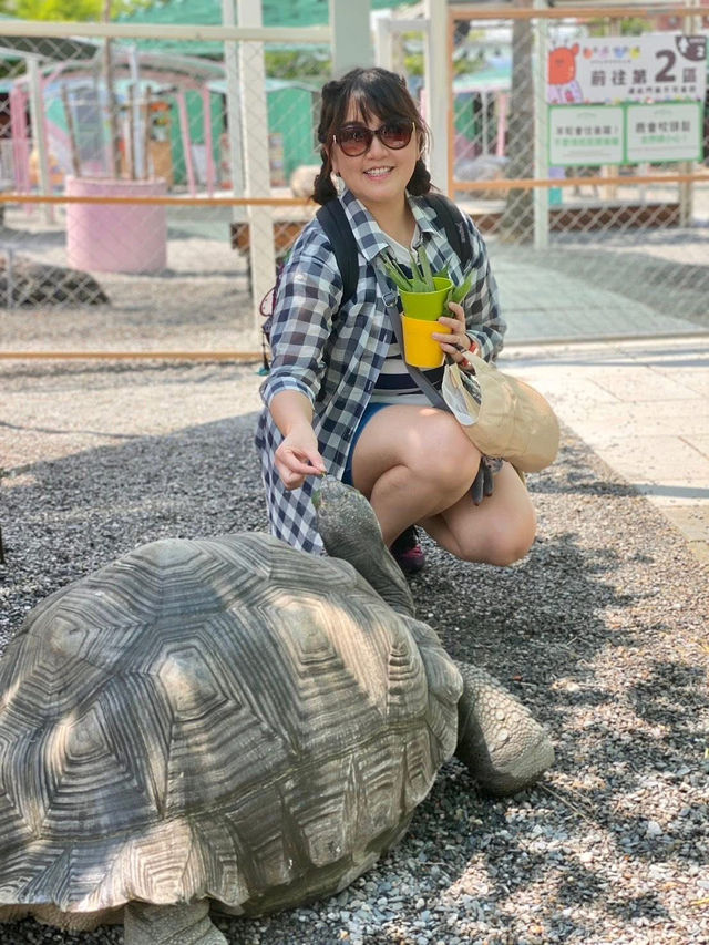 小朋友最愛的親子農場「會握手的卡皮巴拉」