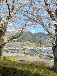 Local Escapes in Katsunuma – Gardens, Curry & a Hint of Wine