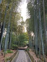 魅力だらけの静岡県