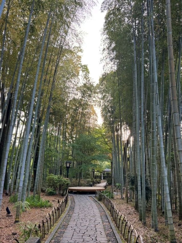 魅力だらけの静岡県