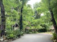 เที่ยวธรรมชาตินั่งสมาธิสงบ “วัดผาลาด” 