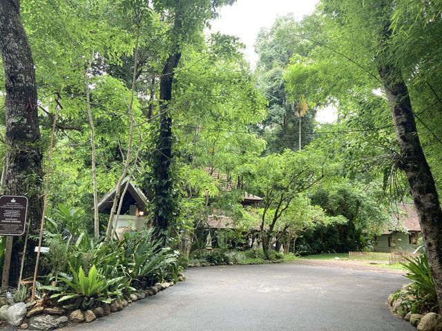เที่ยวธรรมชาตินั่งสมาธิสงบ “วัดผาลาด” 