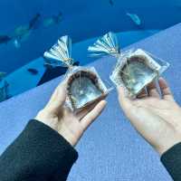 日本四國水族館🤍 | 夢幻海洋世界+獨家珍珠手作體驗！🌊🐬