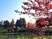 Heilongtan Park Lijiang