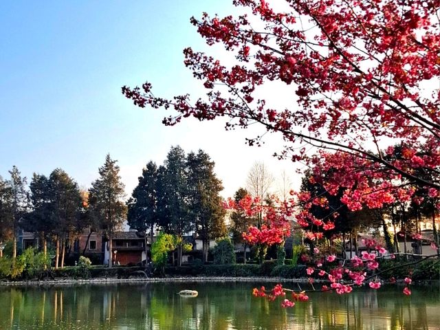Heilongtan Park Lijiang
