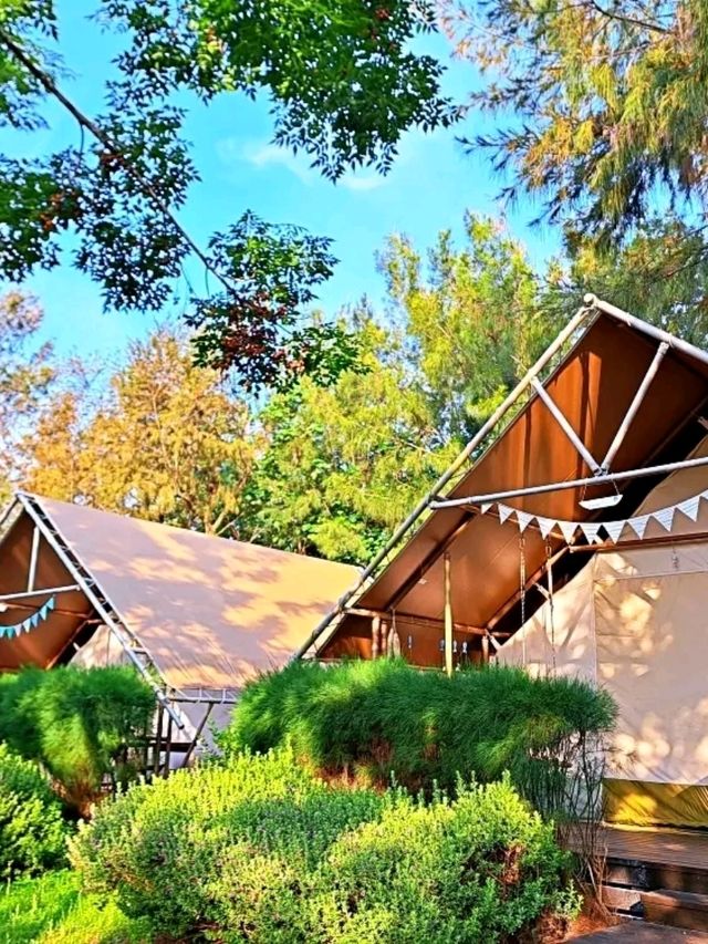 一個超棒的海邊露營地-向海那漾 Glamping 豪華露營！這個地方真是太棒了！