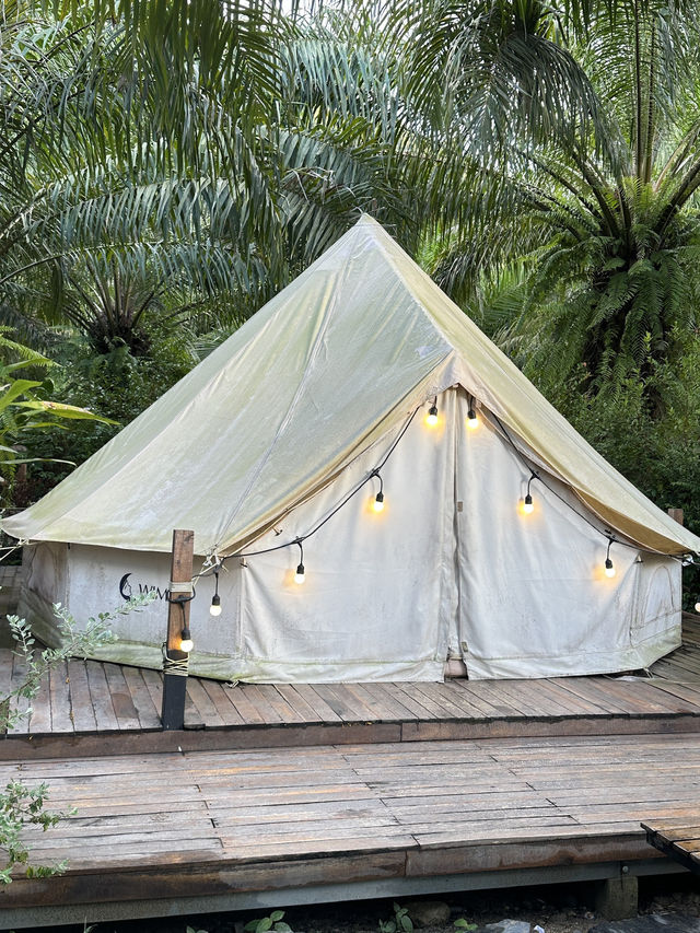 นอนแคมป์ติดลำธารที่ธารทรายทอง 🏕️