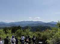 黃金週快閃高尾山⛰️：走～我們去爬個神聖的快樂！