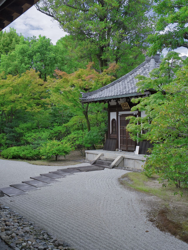 【行く前にこれ見て】禅の境地へ誘う翠の庭園！🌿🐉※周辺観光情報付 