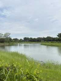 嘉義 北香湖公園 植物生態超豐富 還有兒童遊戲場可以放電！