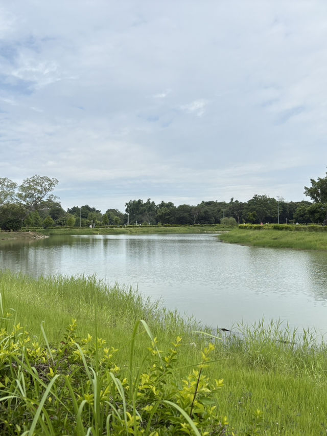 嘉義 北香湖公園 植物生態超豐富 還有兒童遊戲場可以放電！