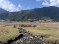 Chill Hills, Dzong Views, and Pure Bhutan Vibes