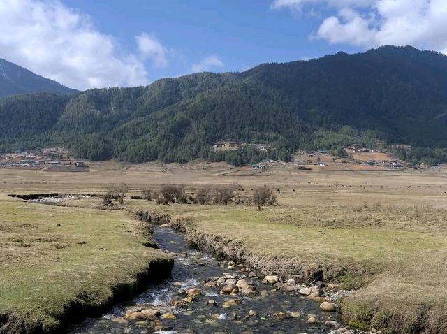 Chill Hills, Dzong Views, and Pure Bhutan Vibes