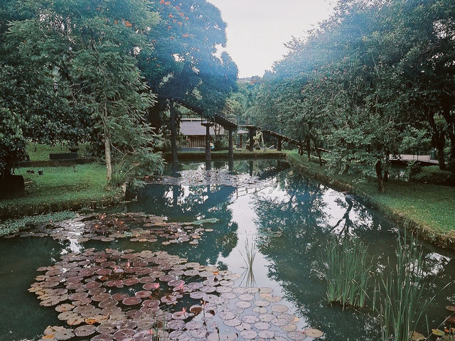 🌴✨ Another Weekend Gem Near Jakarta! 🌞🌿