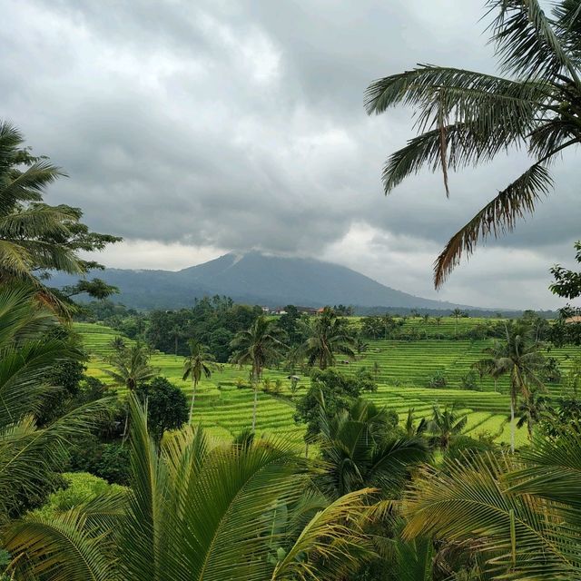 Spent some time in paradise