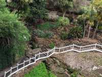 Cave Garden: A Lush Sanctuary in Mount Gambier