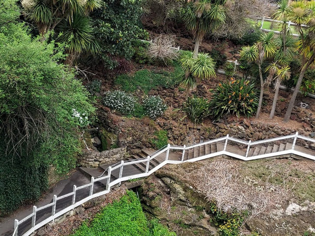 Cave Garden: A Lush Sanctuary in Mount Gambier