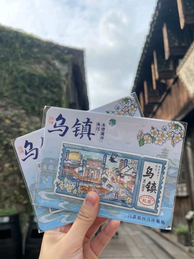 Old Town, New Memories: A Journey Through Xizha, Wuzhen
