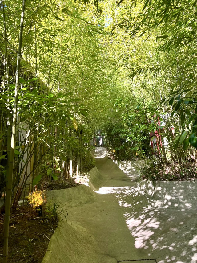 A Calm & Cozy Getaway in Atami 🧖‍♀️🌿
