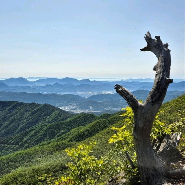 Small Mountain, Big Feels