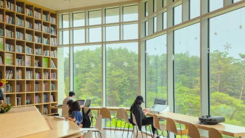 Sebuah kafe di Yangyang dengan pemandangan hutan pinus yang indah🌿 — traveler post in Yangyang