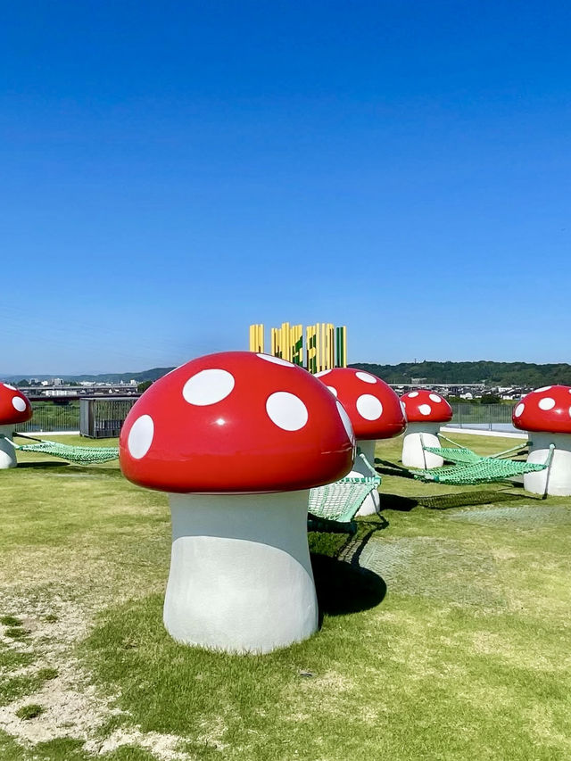 Toyama Prefectural Museum – Free Art, Rooftop Playgrounds & Design Delights