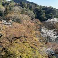 Otowa Waterfall in 2026