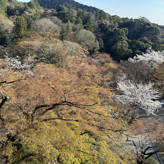 Otowa Waterfall in 2026