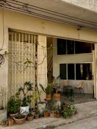 กลิ่นฝน - glinfon คาเฟ่เปิดใหม่โคราช