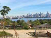Taronga Zoo – Sydney, NSW