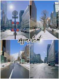 คู่มือเที่ยวซัปโปโร 5 วัน ฉบับคนไปครั้งแรก