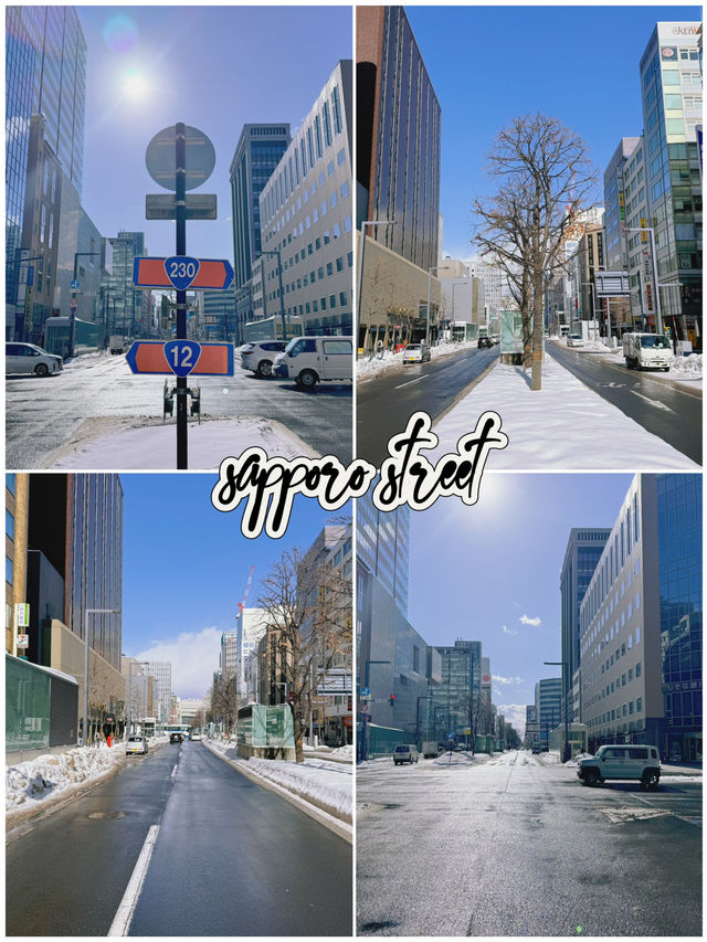 คู่มือเที่ยวซัปโปโร 5 วัน ฉบับคนไปครั้งแรก