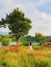 여름에 가기 좋은 무주 여행 코스🌿