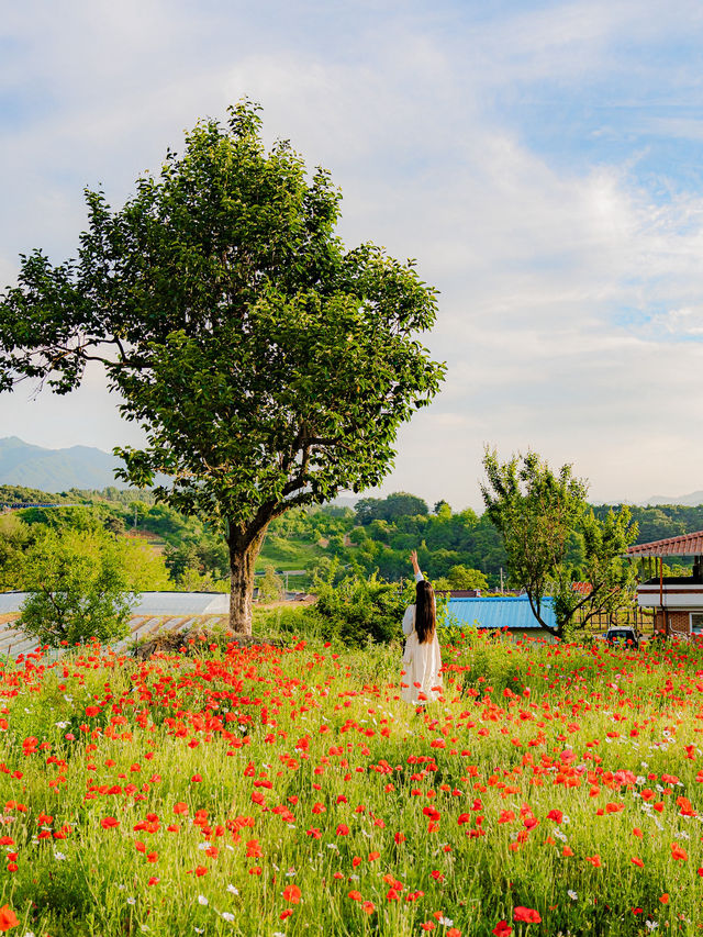 여름에 가기 좋은 무주 여행 코스🌿