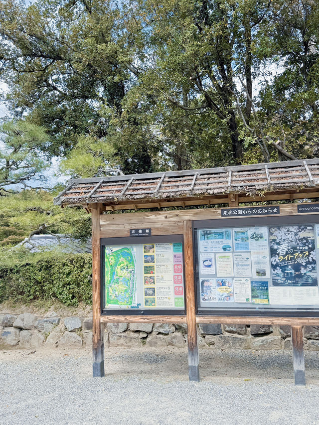 일본에서 가장 고즈넉하고 멋진 곳🇯🇵
