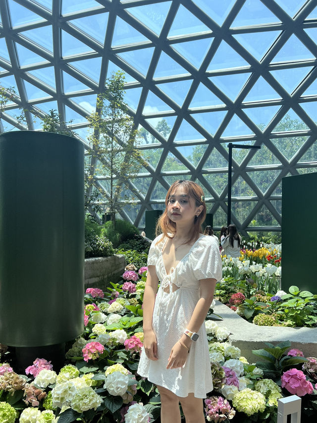 cafe Amazon 4255FLORA EXHIBITION HALL 