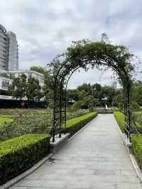 A Serene Retreat in the French Concession: My Visit to Fuxing Park, Shanghai