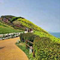Cliff Walks, Ocean Breeze, and Zero Regrets