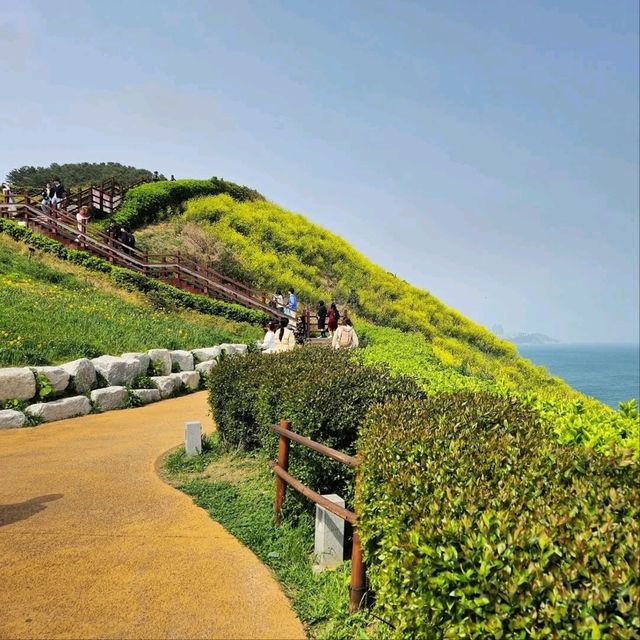 Cliff Walks, Ocean Breeze, and Zero Regrets