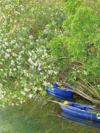 A Community Sports & Nature Hub – Minhang Sports Park, Shanghai